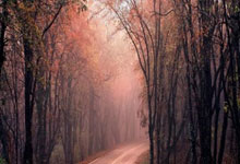 咪咕体育:苏翊鸣晋级阿斯本站决赛央视体育.