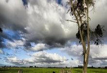 德约科维奇社媒:很荣幸见到伟大的梅西和他的家人.