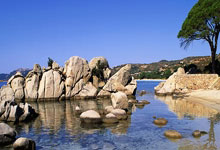 足坛2024年度最佳阵容|地表最强11人,你觉得少了谁.